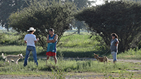 Ejido El Paredón