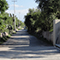 Municipio: El Zapotillo